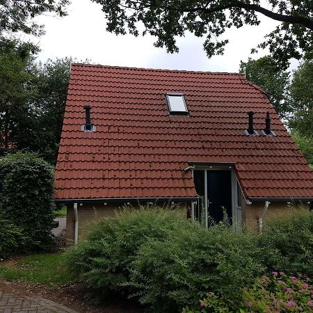 Vakantiepark Timmerholt Hotel Westerbork Ngoại thất bức ảnh